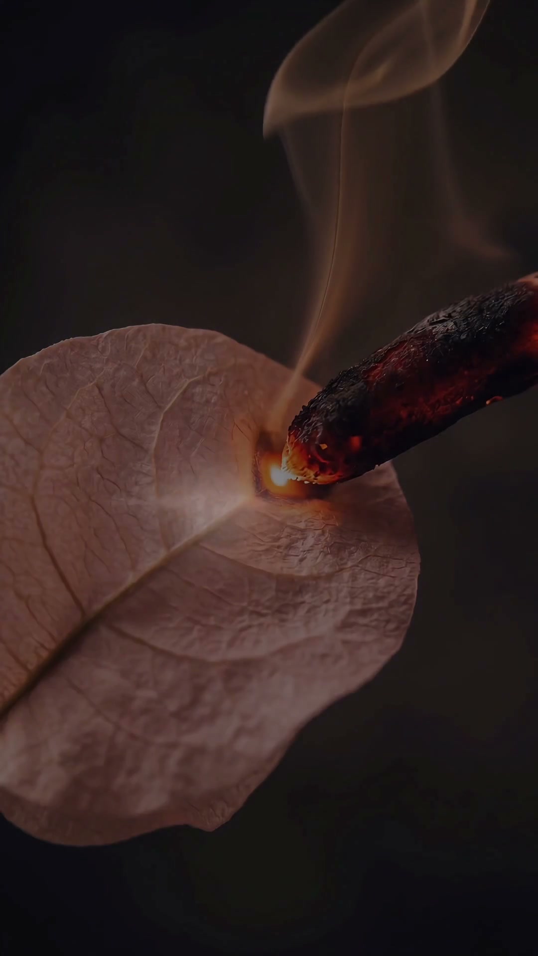 A close-up of a flower petal and flame beginning the Full Bloom Decor film