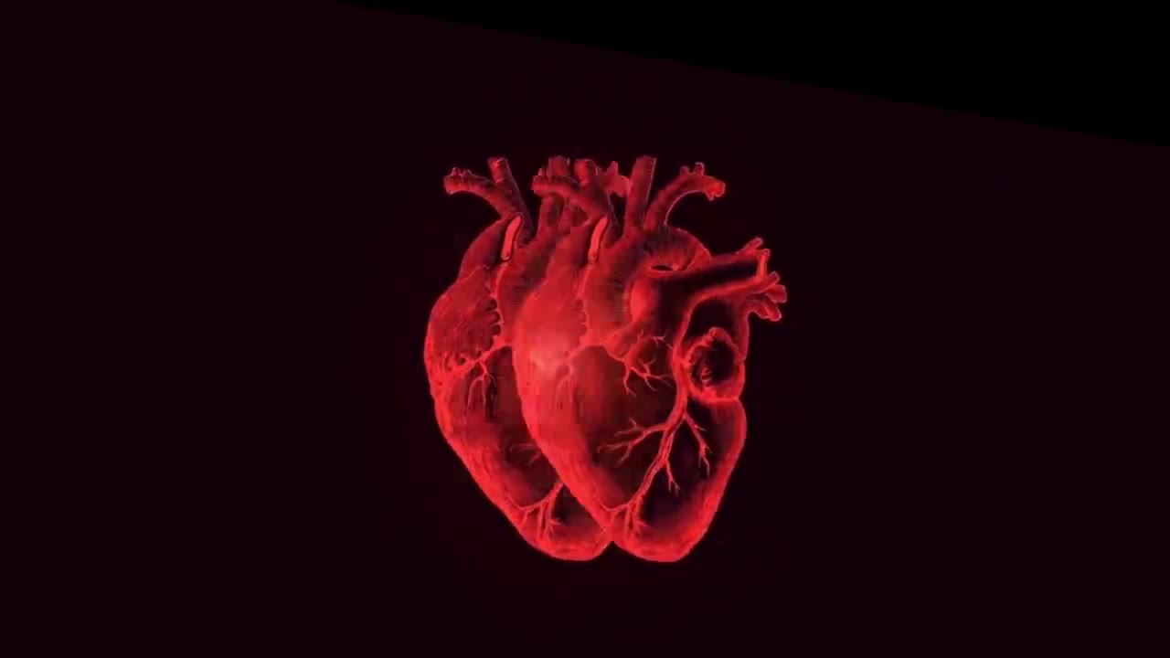 Red, black, and white heart imagery