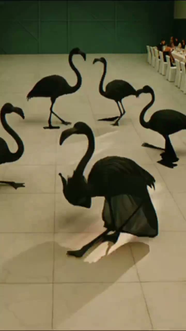 A surreal transformation overtaking the scene