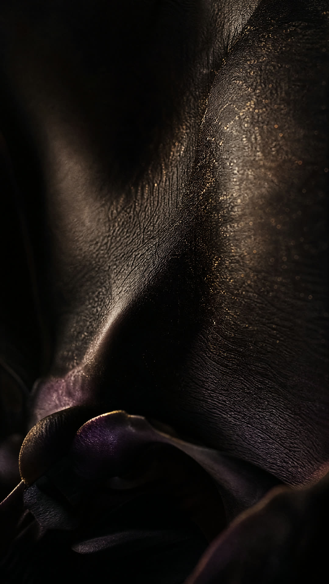 Macro orchid petals resembling dark skin and the curve of a body