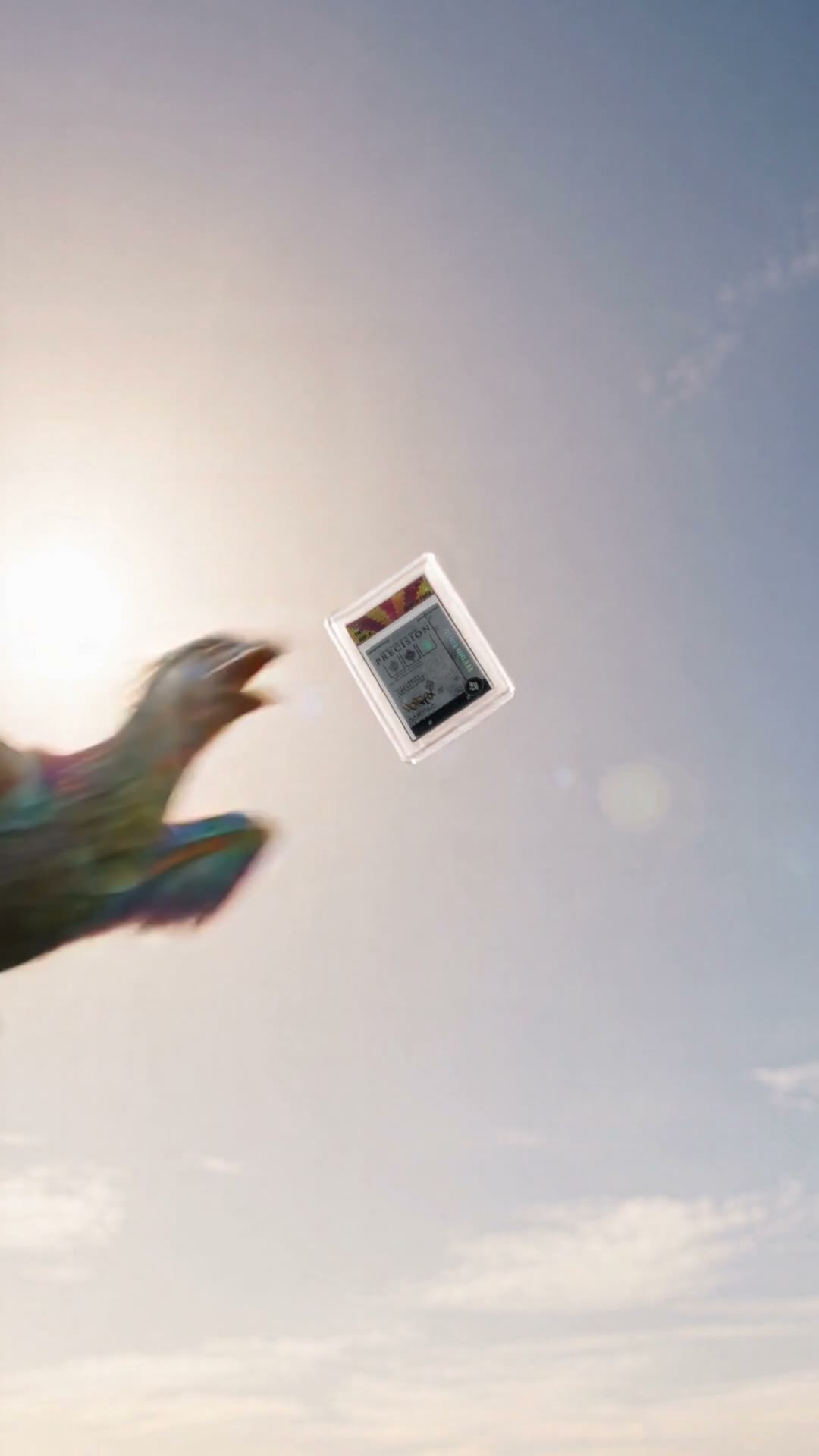 The bird catches the graded card case against the sky